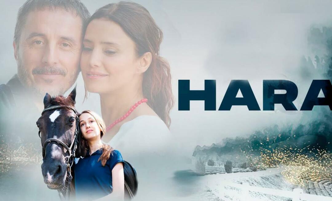Produkcija "Hara", ki navdušuje ljubitelje filma, je v kinu!