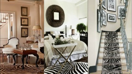 Zebra moda v dekoraciji doma
