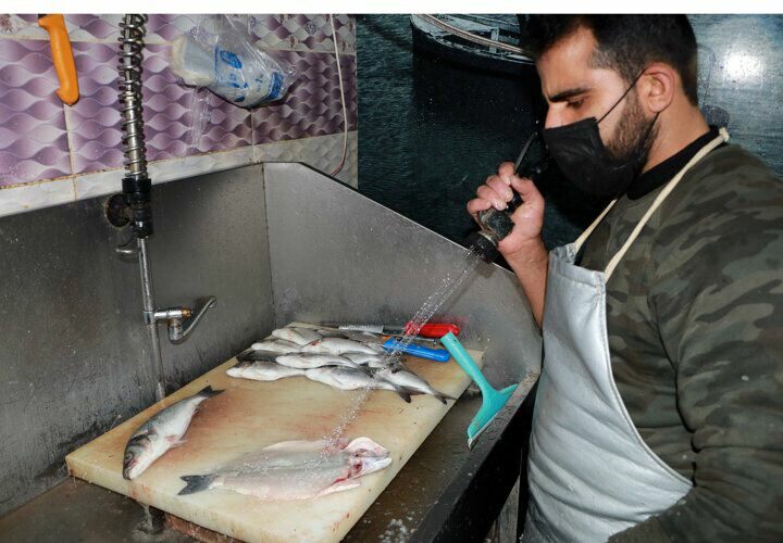 Kako ugotoviti, ali je riba ponarejena? Triki, da ribe izgledajo težke in svetle