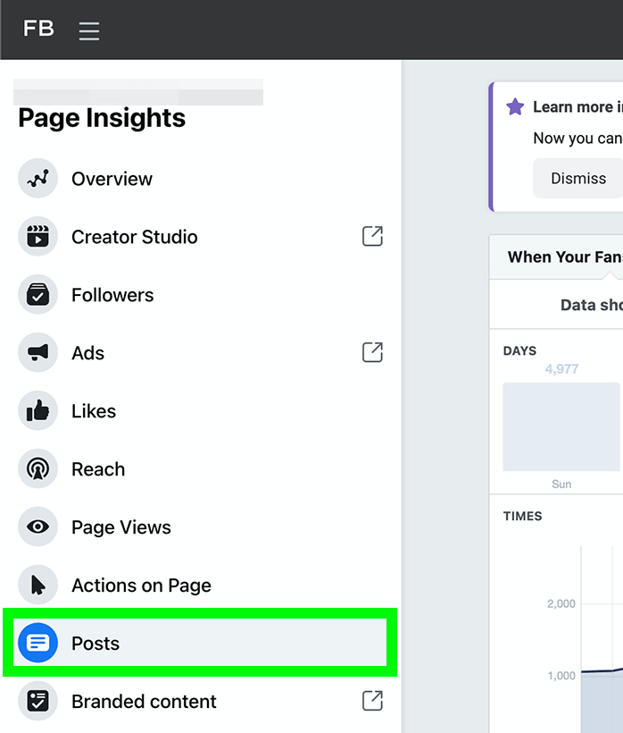 slika možnosti Objave v storitvi Facebook Page Insights