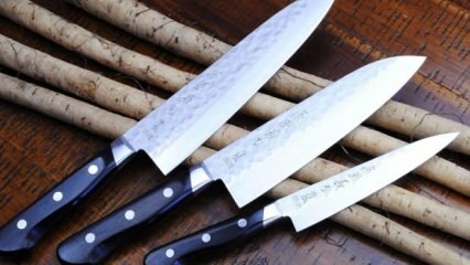 Vrste in cene nožev, ki jih je treba hraniti v vsakem domu