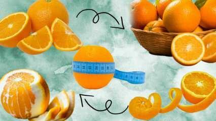 Koliko kalorij je v pomaranči? Koliko gramov je 1 srednja pomaranča? Ali se zaradi uživanja pomaranč zredite?
