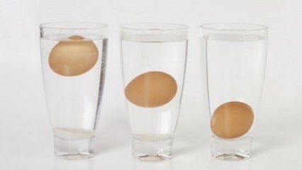 Kako razumeti ustaljena jajca?