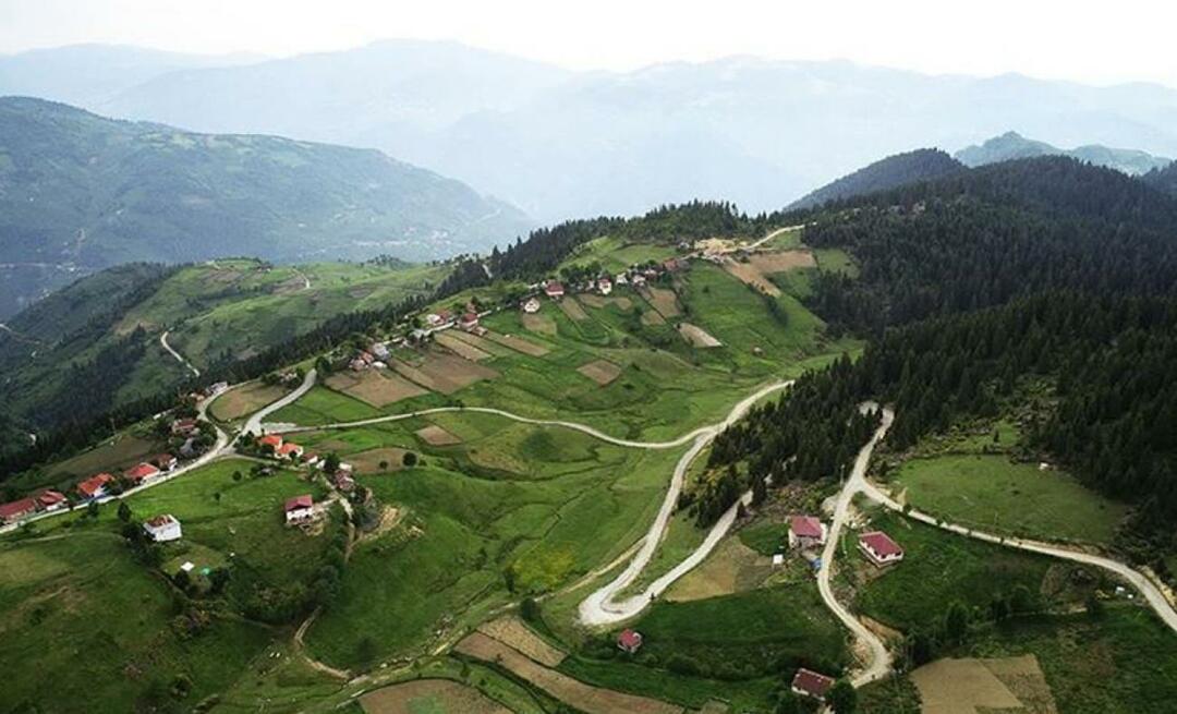 Kje je planota Çambaşı? Kako priti do planote Çambaşı?