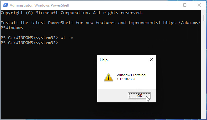 različica terminala Windows