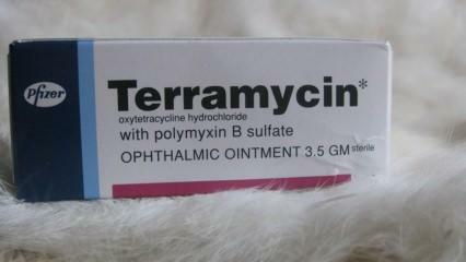 Kaj je krema Terramycin (Teramycin)? Kako uporabljati Terramycin! Kaj počne Terramycin?
