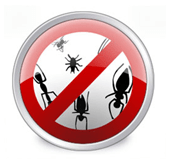 Namestite Anti-Virus za odganjanje hroščev in kodo nasy virusa!