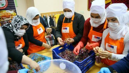 Sirke se v Izmirju grozdja naučijo spreminjati v melaso