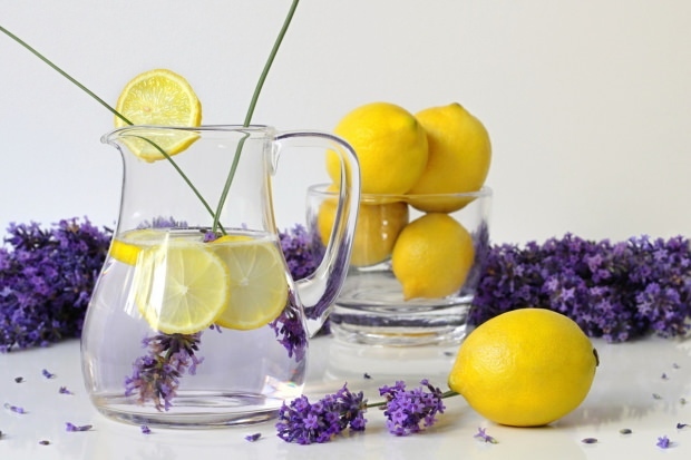 Recept za limonado iz sivke