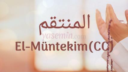 Kaj pomeni Al-Muntakim (c.c)? Kakšne so vrline Al-Muntakima (c.c)?