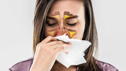 Kaj je alergija? Kakšni so simptomi alergijskega rinitisa? Koliko vrst alergij obstaja? 