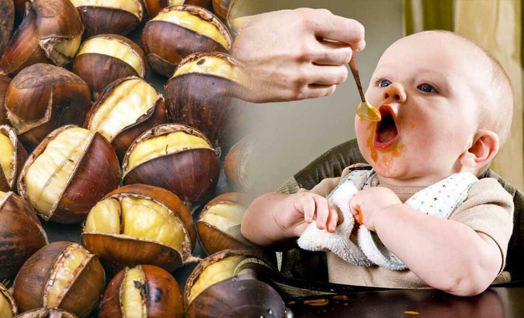 Ali lahko dojenčki jedo kostanj? Kako narediti kostanjev puding?