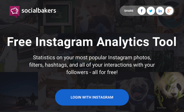 Prijavite se z Instagramom, da dobite dostop do brezplačnega poročila Socialbakers.