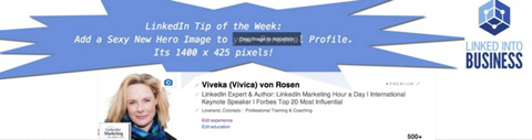 viveka von rosen linkedin image hero