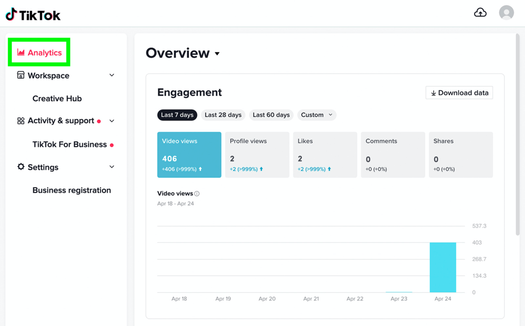 slika zaslona TikTok Analytics Pregled