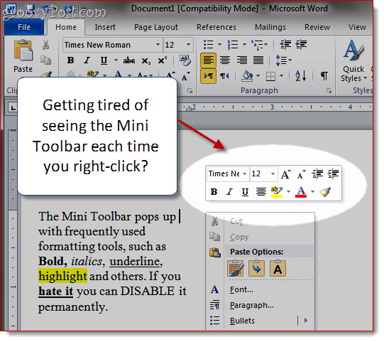 Odstranite Mini-Toolbar v programu Word 2007 in Word 2010