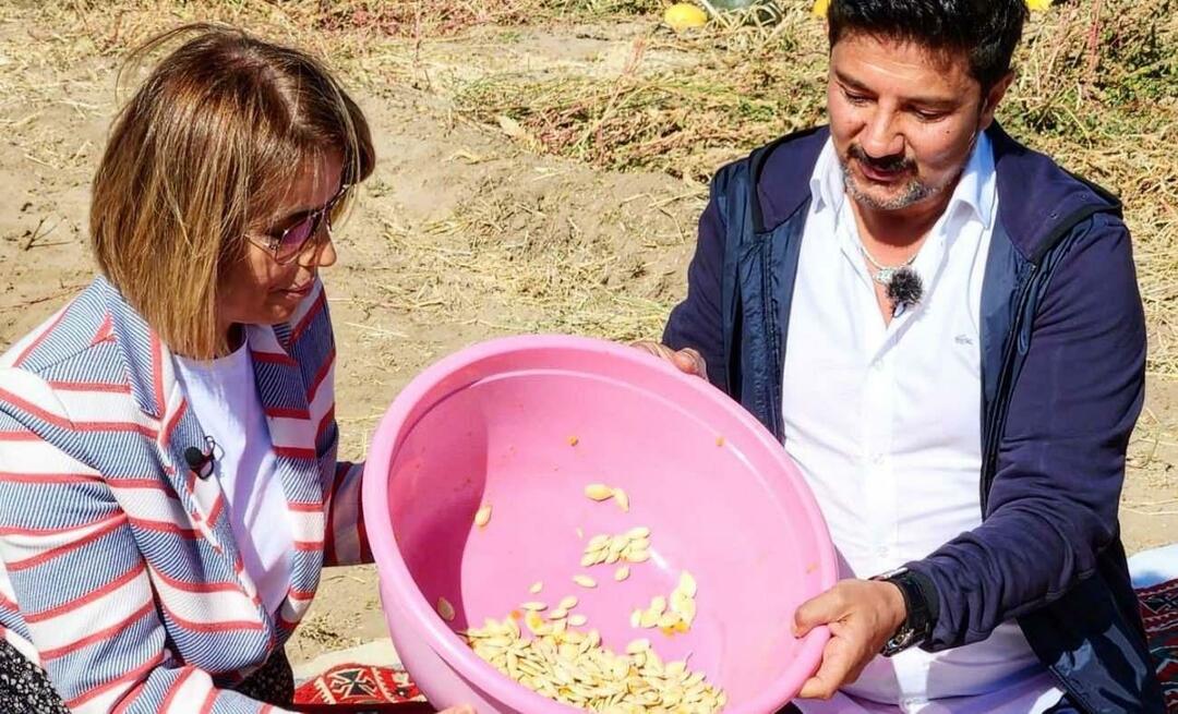 V Nevşehirju so pobrali bučna semena za prigrizke!