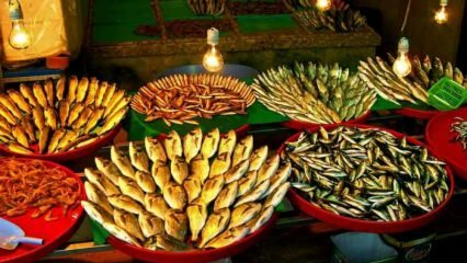 Prodajna mesta svežih in varčnih rib v Istanbulu