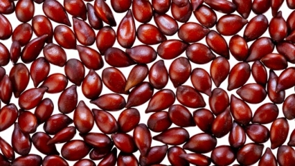 Kakšne so koristi kutinovih semen za kožo? Priprava in korist maske iz kutinovih semen 