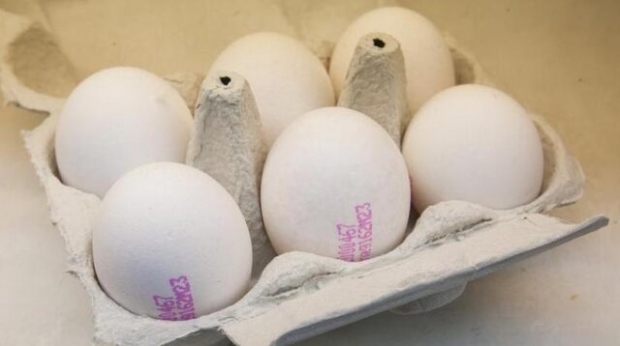 Kako razumeti dobro jajce