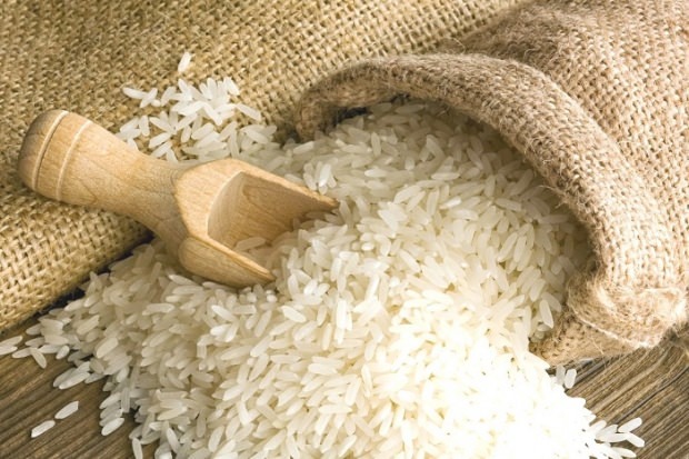 Kaj je riž Baldo? Katere so značilnosti riža Baldo? 2020 cene baldo riža