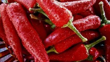 Podaljšanje življenja: Kakšne so prednosti pekoče paprike? Kaj se zgodi, če kajenski poper redno uživate?