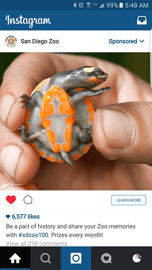 zoo instagram oglas