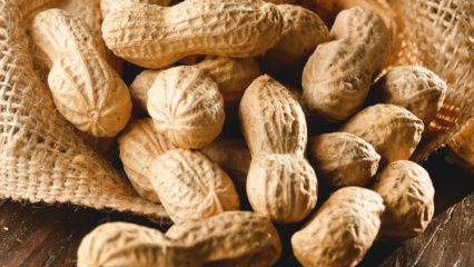 Kakšne so prednosti arašidov? Katere bolezni so arašidi dobri?