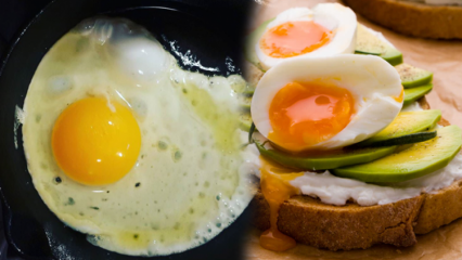 Katera olja so koristna za naše zdravje? Če zaužijete premalo kuhano jajce ...