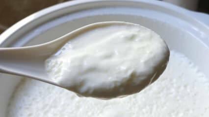 Kateri je preprost način za kuhanje jogurta? Naredite jogurt kot kamen doma! Korist domačega jogurta