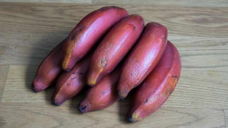 rdeče banane postanejo vijolične, ko dozorijo