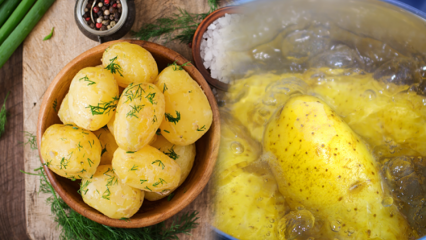 Kako se krompir kuha? Nasveti kuhanega krompirja