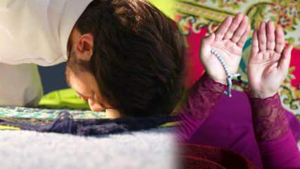 Vrline molitve tarawih! Kako izvajati molitev tarawih doma? Bo Tarawih naredil 8 rekajev?