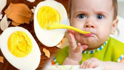 Kako naj se rumenjaki dajo dojenčkom? Koliko mesecev za zagon jajčeca? Recept za otroška jajca