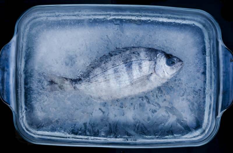 Koliko dni je treba uživati ​​ribe v zamrzovalniku?