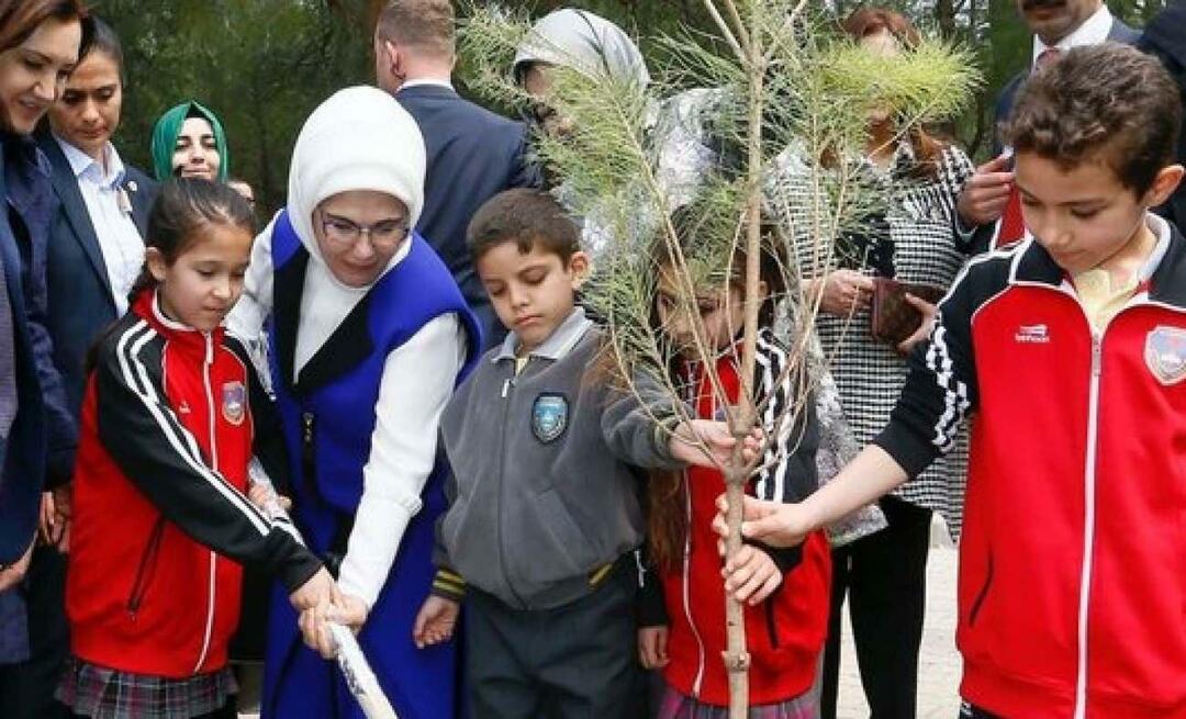 Objava prve dame Erdoğan ob nacionalnem dnevu pogozdovanja