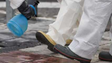 Kako opraviti popolno čiščenje čevljev? Kako je dno čevlja razkuženo?