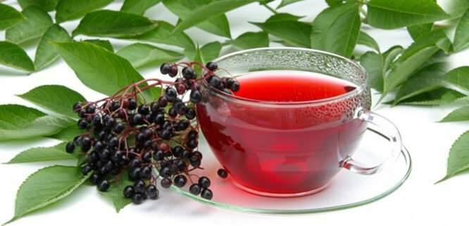 čaj iz borovnice zagotavlja neverjetne koristi za imunski sistem
