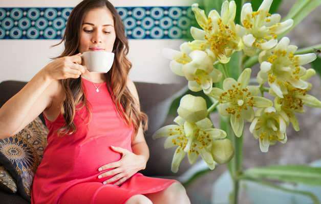 Predlog zeliščnega čaja med nosečnostjo iz Saraçoğla! Ali je nosečnicam škodljivo, da pijejo zeliščni čaj?