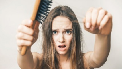 Katera živila preprečujejo izpadanje las?