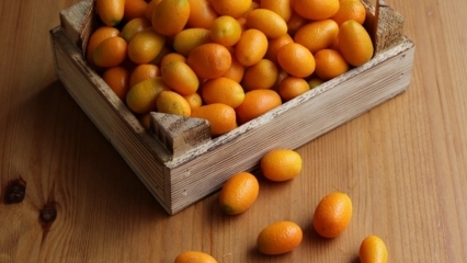 Kakšne so prednosti zdravila Kumquat (Kumkat)? Za katere bolezni je kumquat dober? Kako se uživa kumkvat?