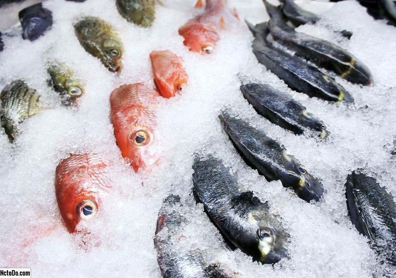 Kako se hranijo ribe? Kakšni so nasveti za shranjevanje rib v zamrzovalniku?