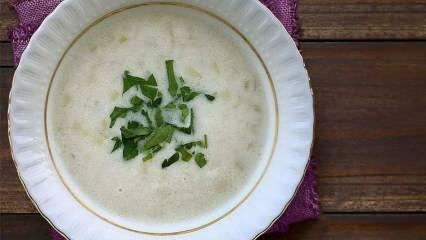 Kako narediti porjevo juho? Nasveti za najlažjo juho iz pora