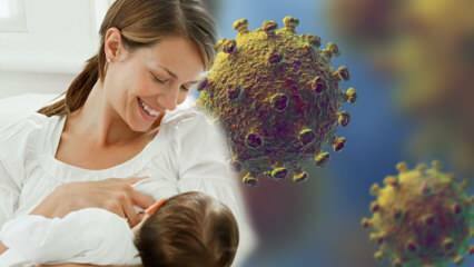 Ali koronavirus prehaja z mleka na otroka? Pozornost bodočim mamicam v procesu pandemije! 