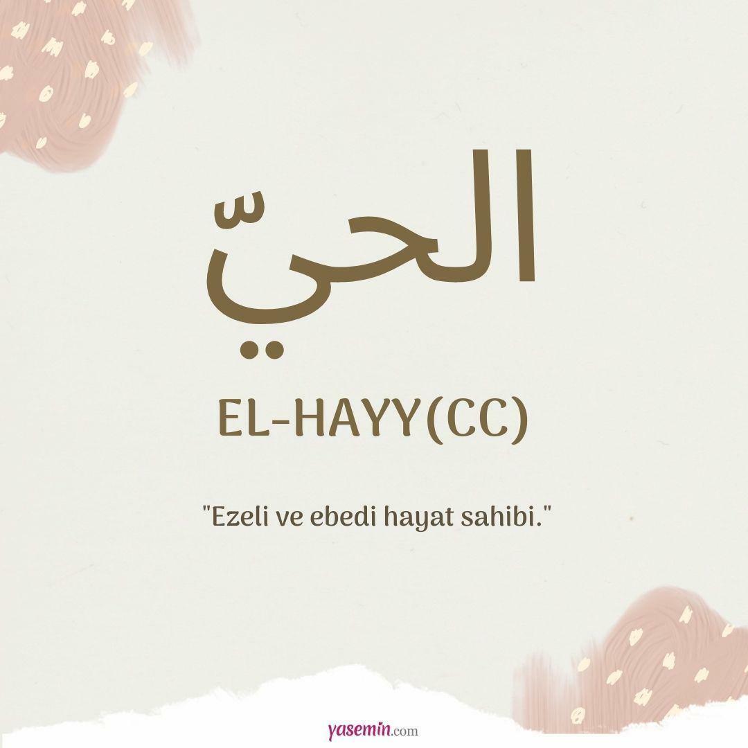 Kaj pomeni al-Hayy (c.c)?