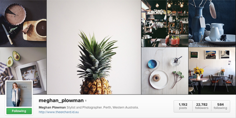 meghan plowman instagram profil