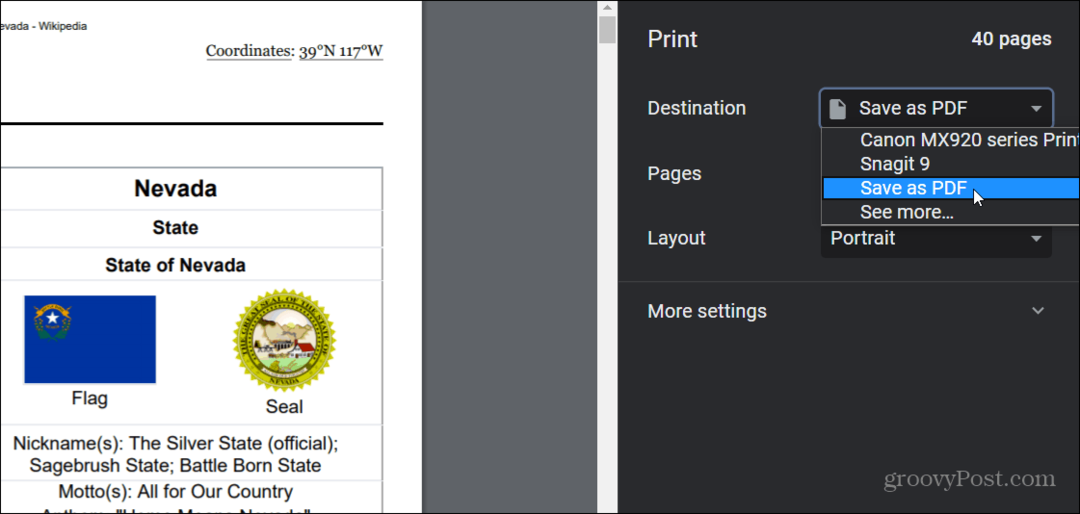 spletno stran kot PDF Chrome