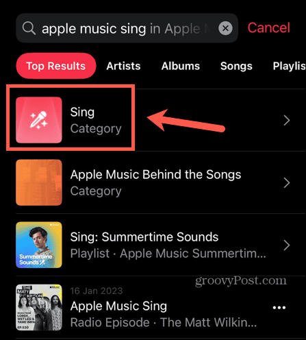apple glasba poje kategorija