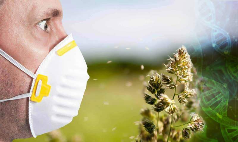 povečana alergija na cvetni prah