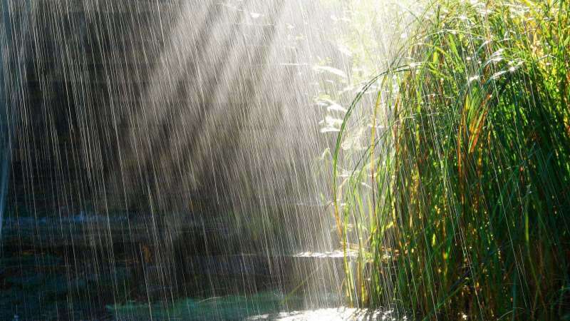 Molitve za branje deževnice! Ali aprilski dež zdravi? Prednosti aprilskega dežja